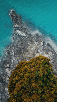 Earth From Above 2  (12)