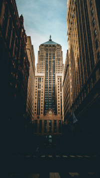 Urban Jungle (8)