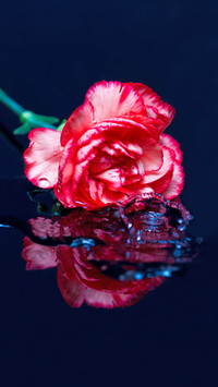 Romantic Valentine's Day-04