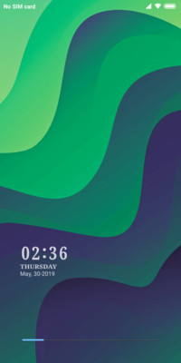 BONE_DWM19