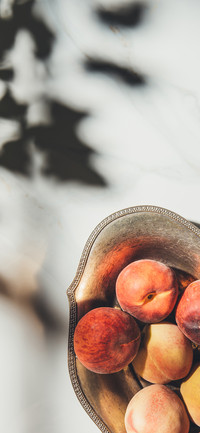 Fresh Fruits-PAIXIN