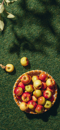 Delicious Fruits-PAIXIN