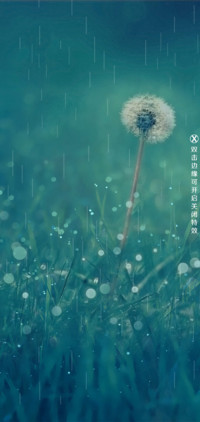 轻新