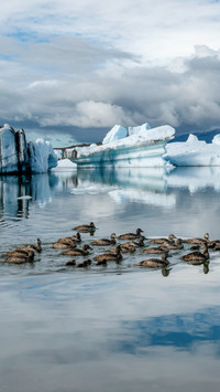 Iceland lake surface frozen in silence