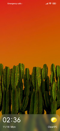 cactus