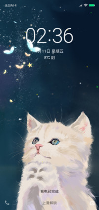许愿猫