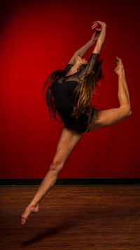 Elagant Dancing (7)