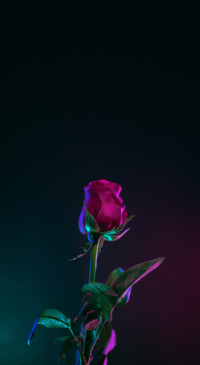 Android HD (43)