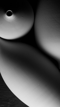 Howtochoosethelens59stilllifephotography