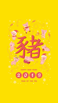 新年小猪-拍信图库