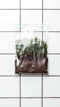 盆栽种植-锐景创意