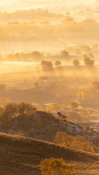How beautiful Inner Mongolia is in autumn 12