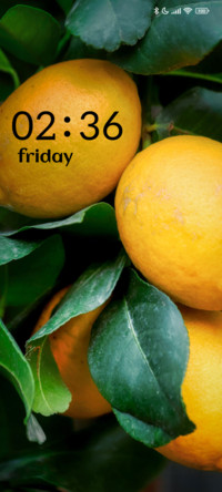 Citrus Glow
