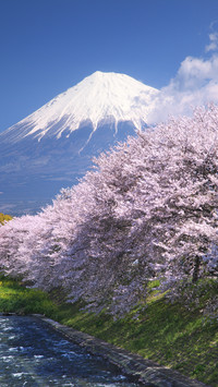 Chinese Travelers in Japanese Eyes 6