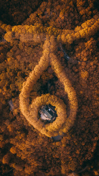 Autumn necklace