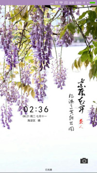 紫藤花开