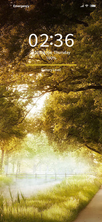 Tree-lined path