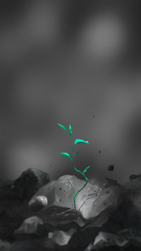 133906_1440x2560.jpg
