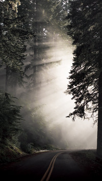 133921_1440x2560.jpg