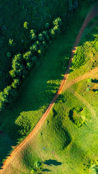 The road on the meadow