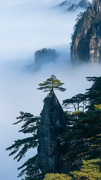 奔赴黄山 聆听自然