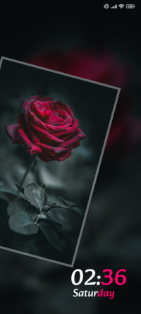 Table Rose