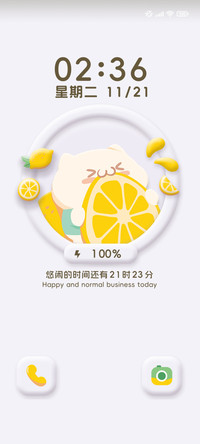 果味维C饭粒猫