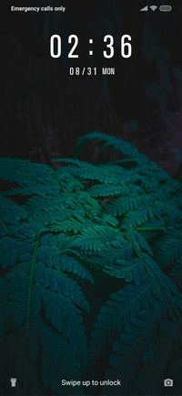 Leaves_3MDS