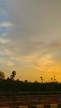 landing-0451