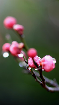 “美”与“德”
