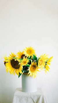 Bouquet of bright yellow sunflower flowers in a retro vase