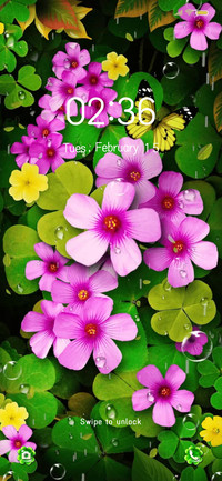 Spring Clover
