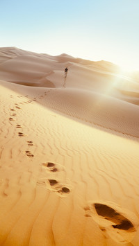 There are also fish in the desert 21