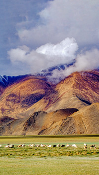 Plateau mountains