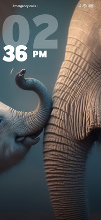 Elephant
