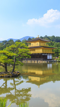 Golden Temple Amidst Nature, A Gateway to Inner Peace