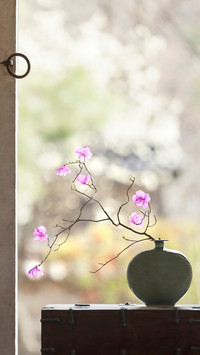 Flowers in Vase