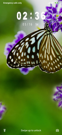Beautiful butterfly_3MDS