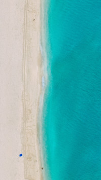 Tropical (9)
