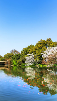 Hangzhou April day 04