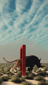 Creative wallpapers
