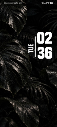 Black Botanica