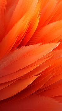 Orange light fills the world 2