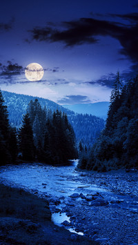 Moon