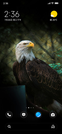 Eagle Watch