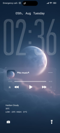 night moonlight