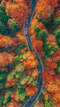 山河已秋-拍信图库