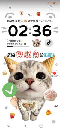 ins可爱妙脆角小猫