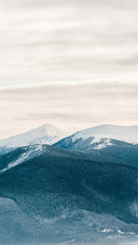 Winter Snow Country