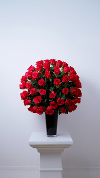 Flower arrangement for all occasions